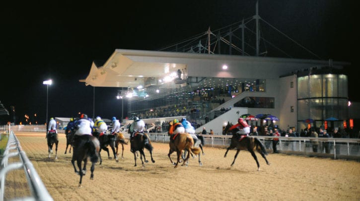 Dundalk 6:45 Tips – Winter Series Handicap Preview