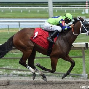 Thursdays Betting Tips for Horse Racing, Football & Greyhounds - 19/03/2020