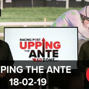 Upping The Ante Cheltenham Festival Preview: Week Twelve