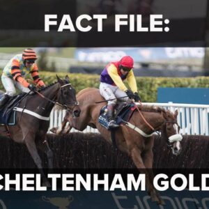 Fact File: Cheltenham Festival Gold Cup