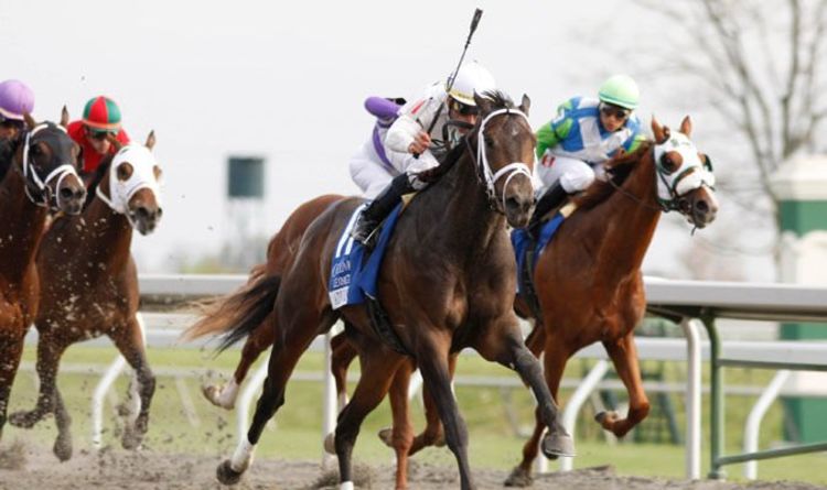 Horse racing tips February 22: Catterick, Chelmsford, Exeter, Lingfield and Warwick | Racing | Sport