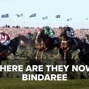 Where Are They Now? Bindaree