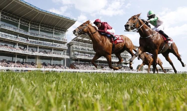 Horse racing tips TODAY: Ripon, Newbury, Newmarket, Doncaster, Haydock, Curragh | Racing | Sport