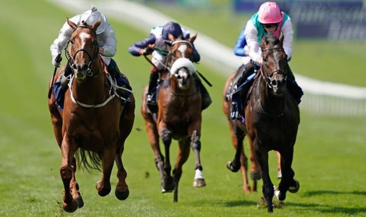 Best Horse Racing Betting Sites