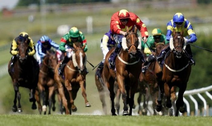 Horse racing tips TODAY: Horses you must back at Brighton, Bath, Pontefract, Yarmouth | Racing | Sport