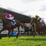 First Favourite Horse racing tips