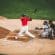 How Do Sports Betting Odds Work