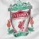 Liverpool flag