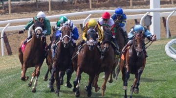Insurance bet horse racing Promotion Explained