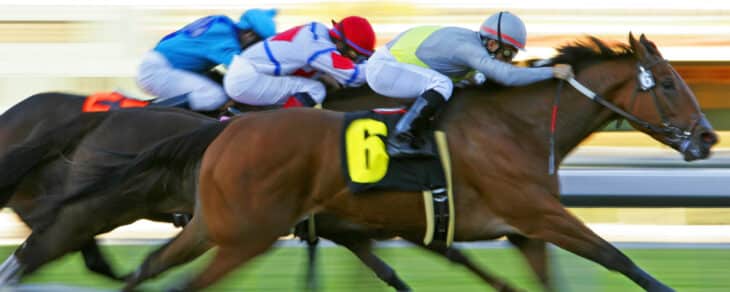 Is Horse Racing Betting Legal in India