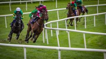 Learn what Best Odds Guaranteed means