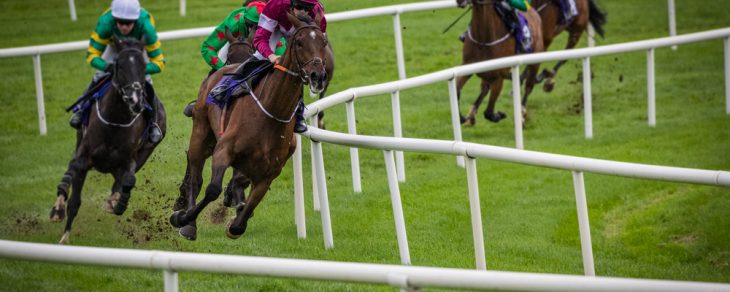 Learn what Best Odds Guaranteed means