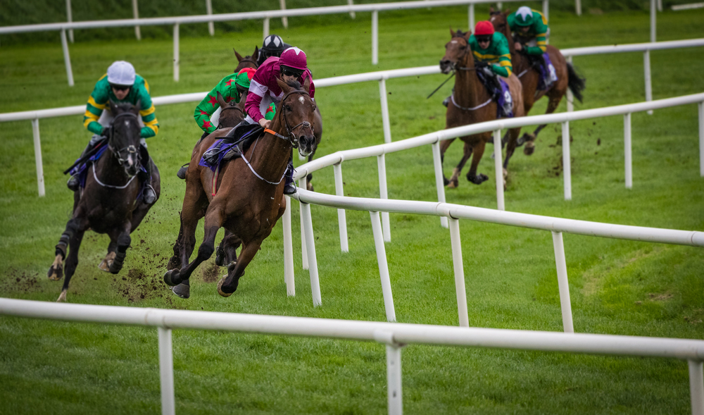 Learn what Best Odds Guaranteed means