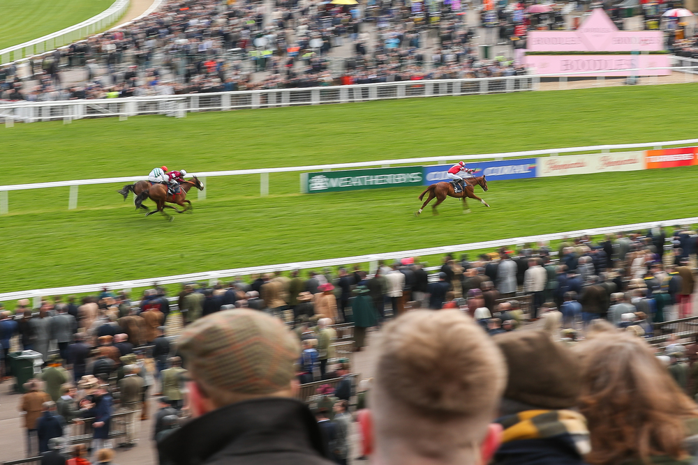 Cheltenham finish