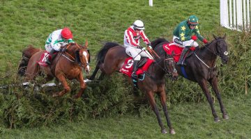 Cheltenham horse racing