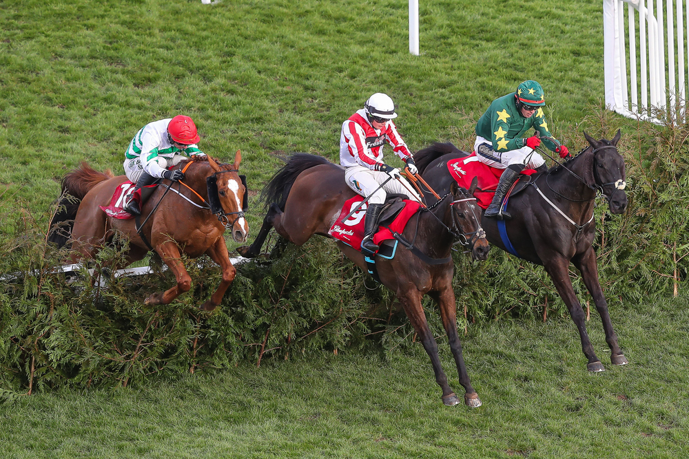 Cheltenham horse racing