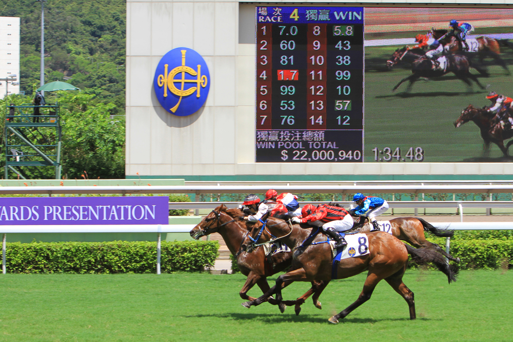 Hong Kong Odds displayed at a racecourse